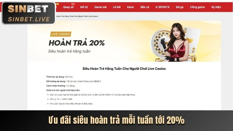 Trải nghiệm cá cược nâng cao dành cho VIP oxbet app